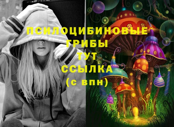 spice Алзамай