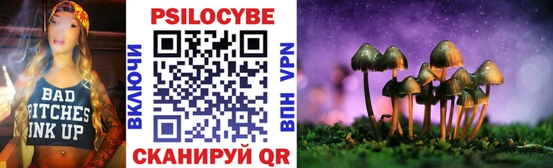 Купить  Вихоревка  Псилоцибиновые грибы мицелий 